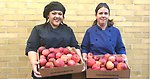 Erlinda Malmerström och Anna Maria Jantasarena visar upp lådor med stora röda äpplen de hämtat i Jonslund. 